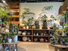 -自由生长植物工作室(深港花卉中心店)