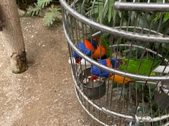 -南宫五洲植物乐园