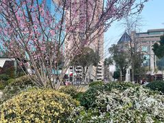 -西北湖绿化广场