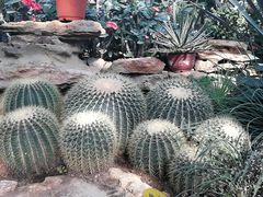 -国家植物园南园