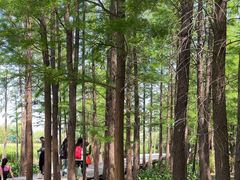 -云龙湖旅游景区