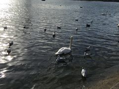 商户图片-海德公园