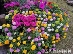 -杭州植物园