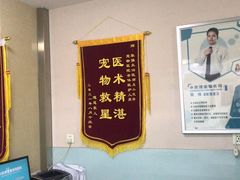 -小伙伴宠物医院•急重症转诊中心·老年专科·犬猫全科(北大街总院)