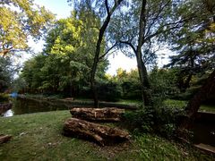 -上海共青森林公园