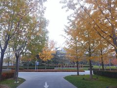-319集结地真人CS·团建·轰趴体验馆·室内(上地店)