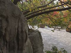 -云龙山