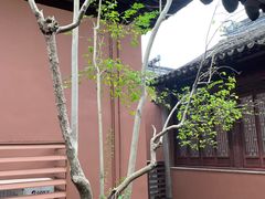 -苏州文庙(姑苏区)