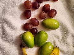 -黔灵山公园