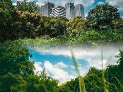 -成都市活水公园