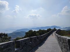 -黄贤森林公园