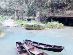 -三峡人家风景区