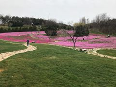 -棒棰岛宾馆景区