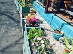 -阳光家常菜游客餐厅(千佛山店)