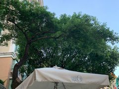 -那铁咖啡LATTE CAFE(雍华庭店)