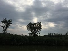 -白鹭湾湿地公园