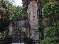 -广州市流溪河国家森林公园