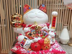 -菌子鲜汤野生菌锅