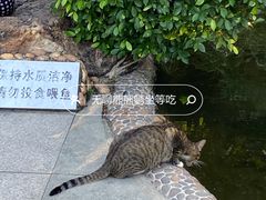 -晓港公园