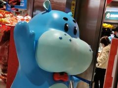 -盒马鲜生(金桥国际广场店)
