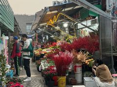 -曲阳花鸟市场(曲阳路店)