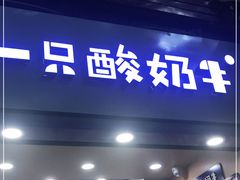 门面-一只酸奶牛(八一路店)