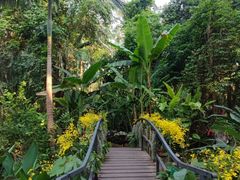 -中国科学院西双版纳热带植物园