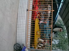 android_upload_pic-解放人民公园