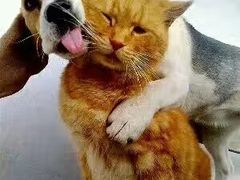 -长今家韩国料理(瑞景店)