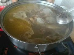 -蘑统田下·野生菌火锅