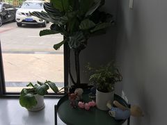 -嘉美宠物医院