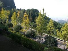 -铁山坪森林公园