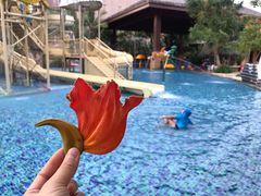 -亚马逊丛林水乐园