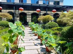 -荷风细雨·中国茶宴(碧云店)