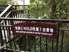 -呀诺达热带雨林