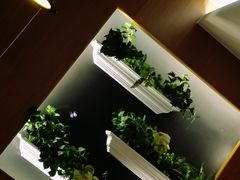 -诺丁牛排披萨自助餐厅(汕头苏宁店)
