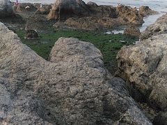 -黑石礁公园