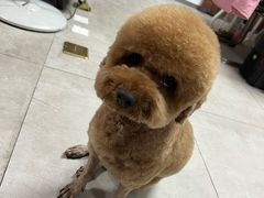 -博特宠物医院24h犬猫全科.骨科·异宠