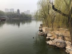 -迎泽公园