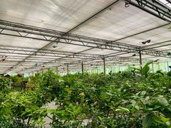 -南宫五洲植物乐园