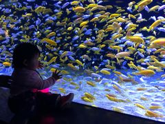 -成都浩海立方海洋公园