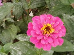 -怡海公园(桂城街道)