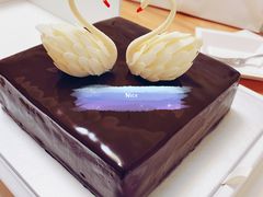 -BLACKSWAN黑天鹅(环球店)