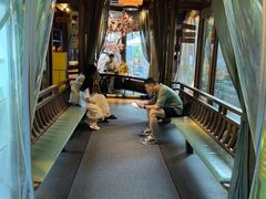 -绿茶餐厅(龙井船宴· 品牌总店)