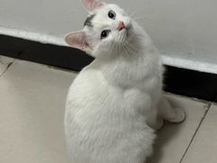 -太二酸菜鱼(石家庄万象城店)