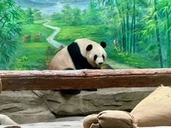 -灵玲国际马戏城