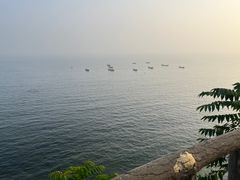 -渔公码头海货全海鲜自助(海滨旅游路店)