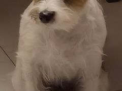 -北万新包子店(淮海店)