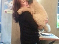 android_upload_pic-百好乐宠物友好餐厅(朝外大街店)