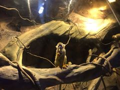 -波塞冬旅游度假区